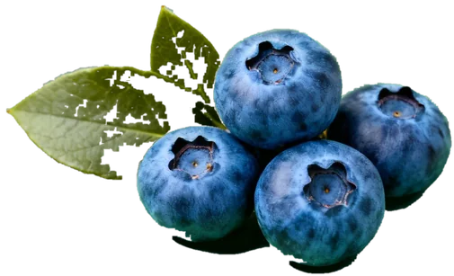 Blueberry