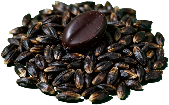 Roast barley
